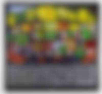 Lass sie leben 2000 (preview)