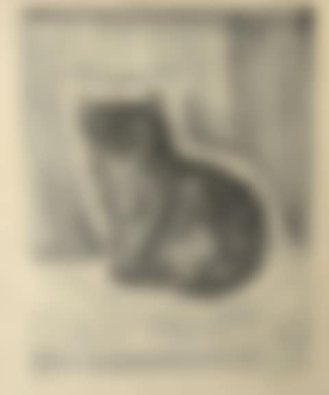 Sitting cat (preview)