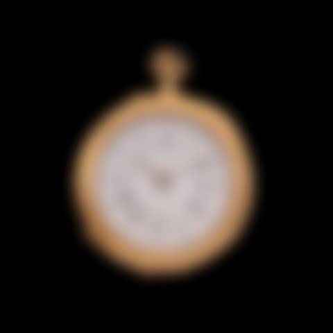 COLLAR WATCH (preview)