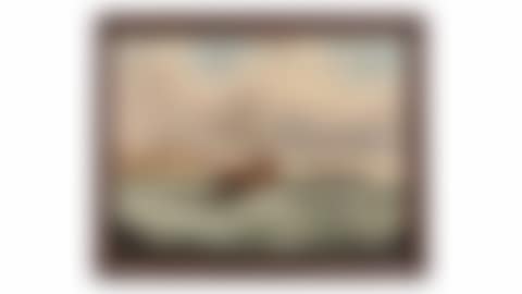 Marine (preview)