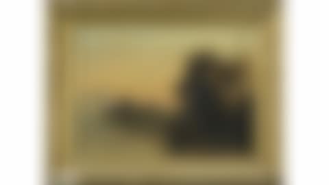 The lake (preview)