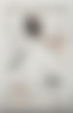 Homage to Nietzche (preview)