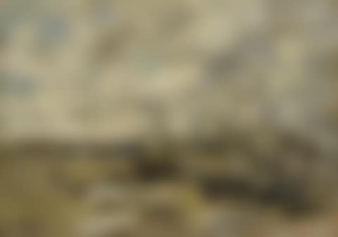 Portrieux. The port low tide (preview)