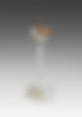 Little Idol (preview)