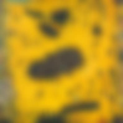 Yellow Field Worlds (preview)