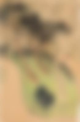 Landscape (preview)