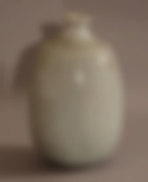 Small ovoid vase (preview)