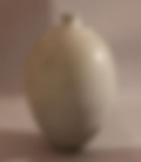 Ovoid vase (preview)