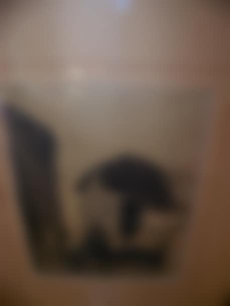 Lot 57; Village street (preview)
