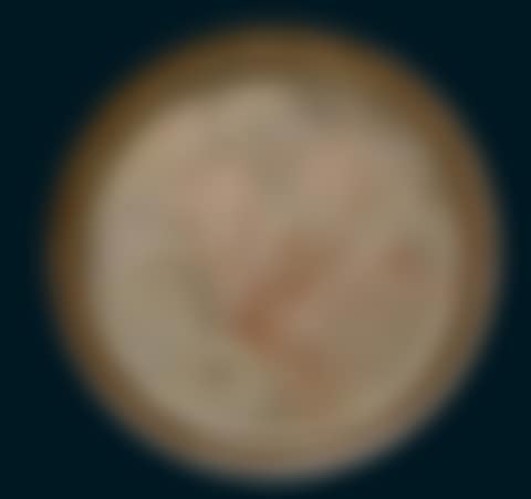 The Favorite Model Fanny Volmers, the artist"s wife (preview)