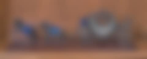 A carriage (preview)