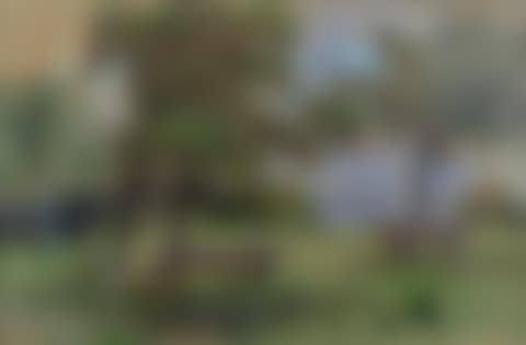 Near Saint-Siméon (preview)