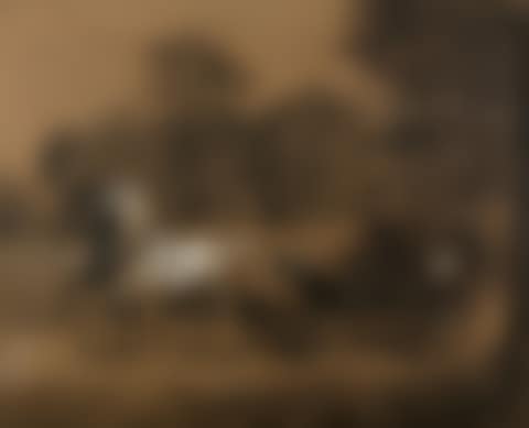 The Duchess of Rohan in carriage (preview)