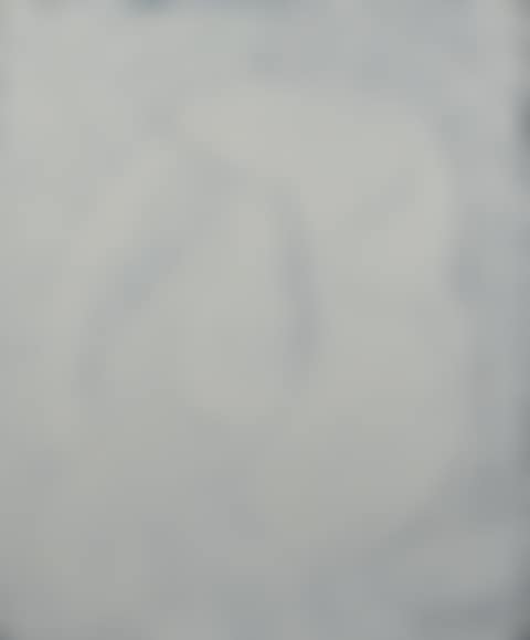 Untitled white background (preview)