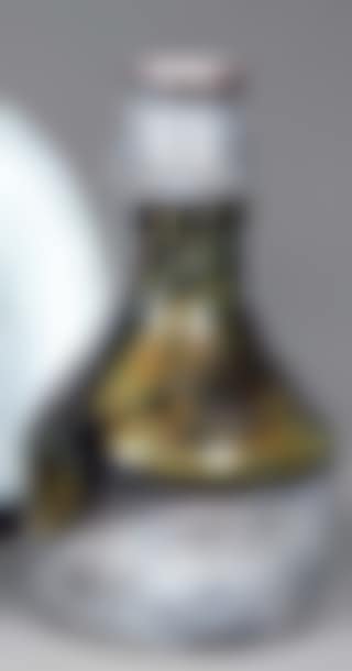 Ceramic bottle-shaped vase (preview)