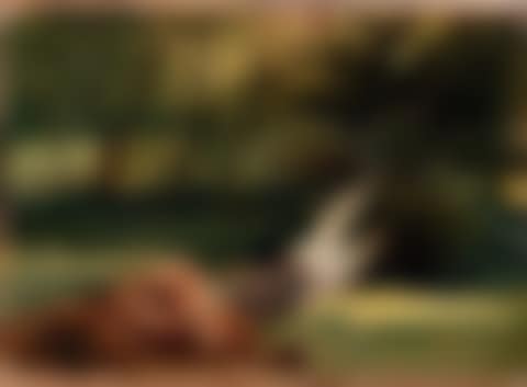The windfall (preview)