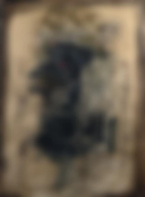 The King with the Red Eye (preview)