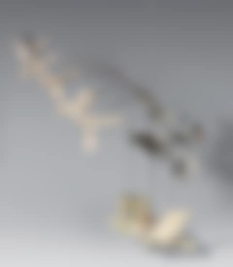 Le chariot des libellules (preview)