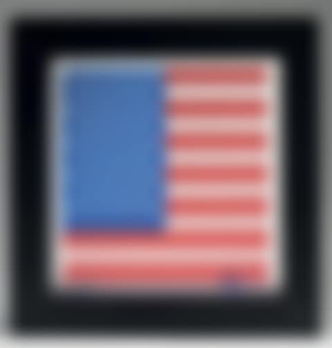 Agamograph Flag (preview)