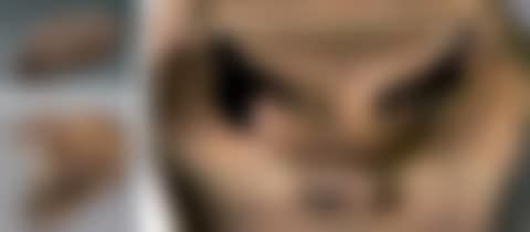 “THE BOA"S HEAD” (preview)