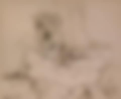 Untitled Engraving (preview)