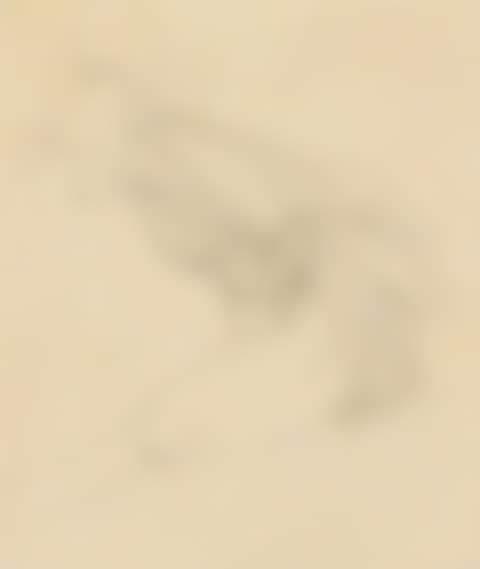 "Untitled" (preview)