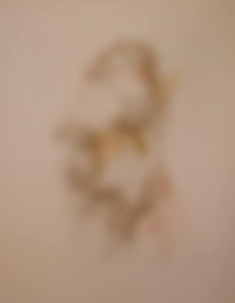 Young girl with reversible body, Series of Mirror of Dreams (preview)