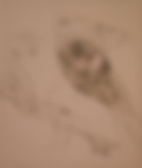 L"oeuf (preview)