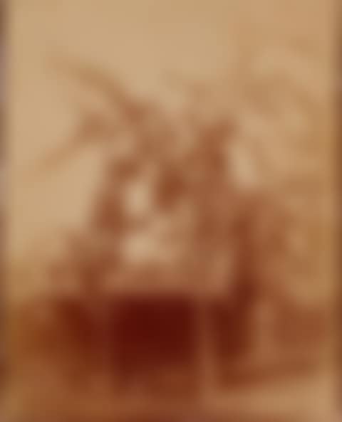 Study of an apple tree (preview)