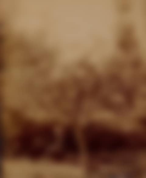 Study of an apple tree (preview)