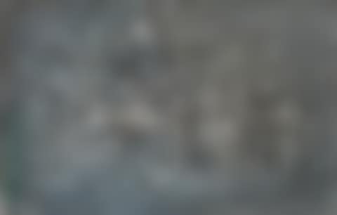 UNTITLED (preview)