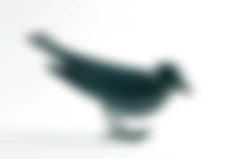 Oiseau (preview)