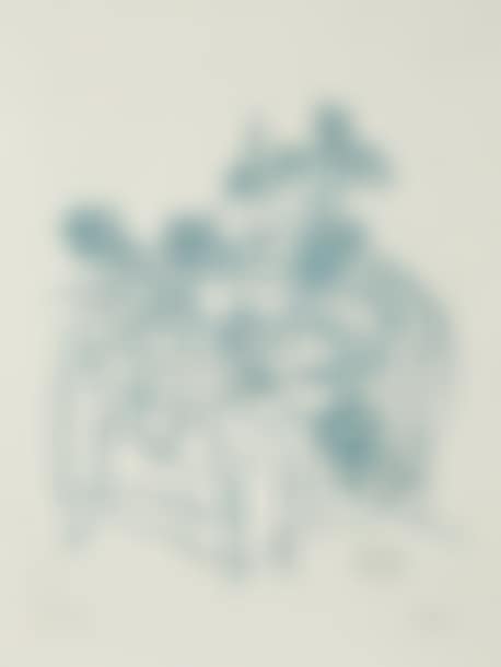 "Untitled" (preview)