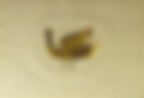 ET HEGER DE LOWENFELD PROCRIS - TRIBUTE TO BRAQUE"S JEWELRY (preview)