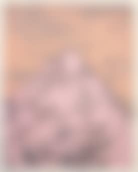 POLYMORPHOSES (preview)