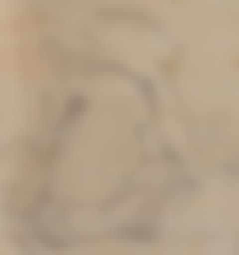 Study of drapery (preview)