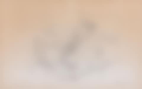 Composition (preview)