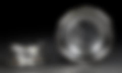 Dish with polylobed contours (preview)