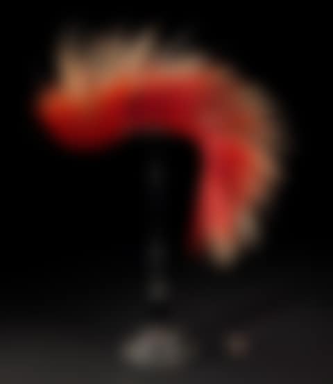 Roach headdress (preview)