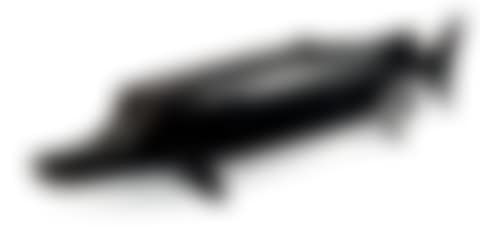 Sturgeon (preview)