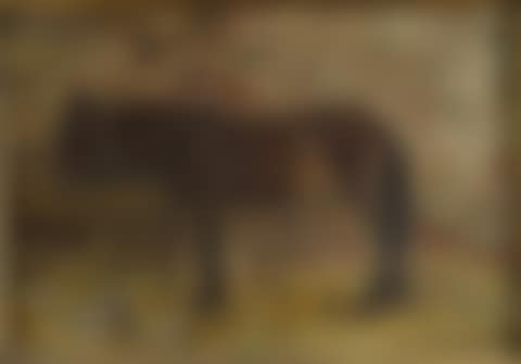 Horse in the stable (preview)