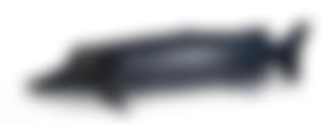 Pike (preview)