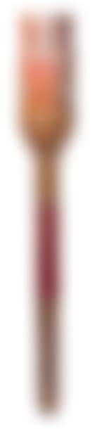 Torch of the Xe Olympic Winter Games (preview)