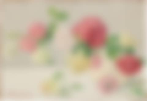 Branche de roses (preview)