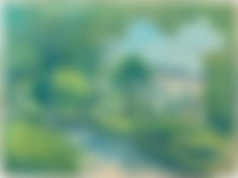 Jardin à Alet (preview)
