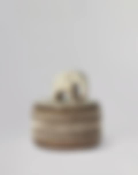 Covered Vase (preview)