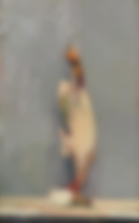 Duck (preview)