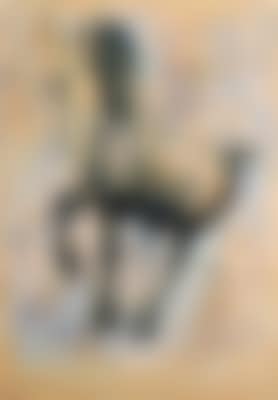 Cavallo e Giocoliere (preview)