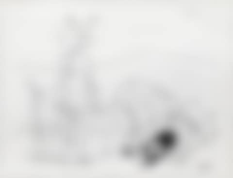 Bull (preview)