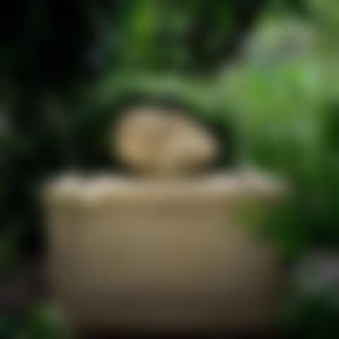 "Fontaine Pleureuse" (preview)